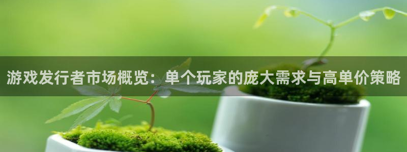 lvnces亿万28衣服价格：游戏发行者市场概览：单个玩家的庞大需求与高单价策略