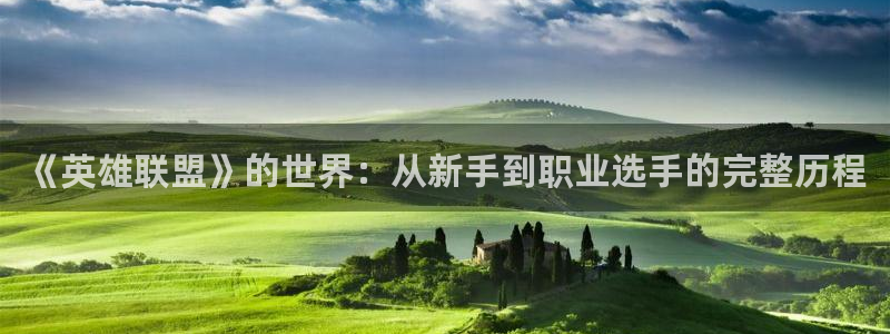 亿万28电子商务有限公司电话：《英雄联盟》的世界：从新手到职业选手的完整历程