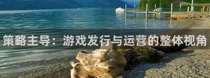 亿万28官网注册平台：策略主导：游戏发行与运营的整体视角