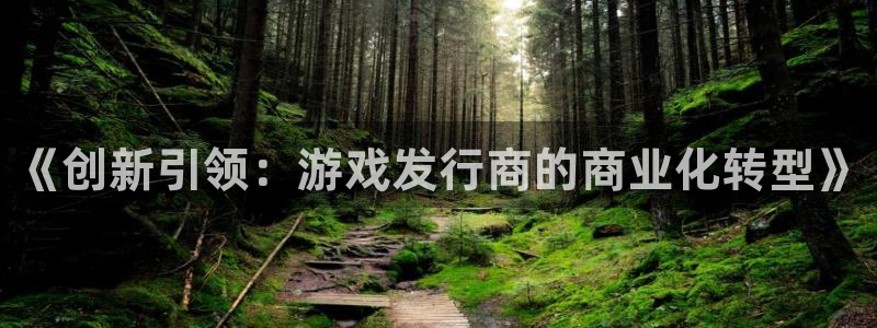 亿万28平台登录入口官网：《创新引领：游戏发行商的商业化转型》