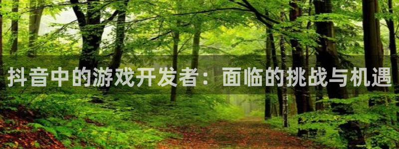 亿万28官网登录注册失败怎么回事：抖音中的游戏开发者：面临的挑战与机遇