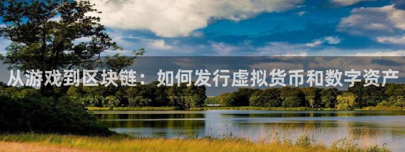 江苏亿万28智得新材料：从游戏到区块链：如何发行虚拟货币和数字资产