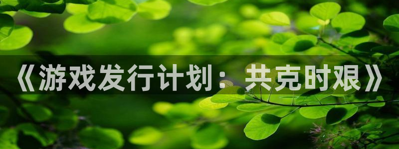 亿万28多少钱：《游戏发行计划：共克时艰》
