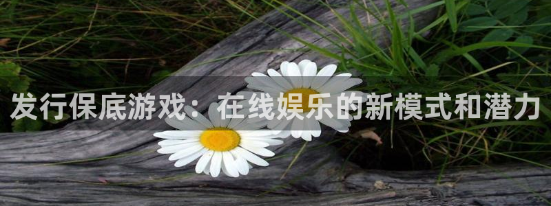 深圳市亿万28科技有限招聘公司：发行保底游戏：在线娱乐的新模式和潜力