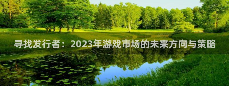 广州亿万28网络科技有限公司怎么样：寻找发行者：2023年游戏市场的未来方向与策略