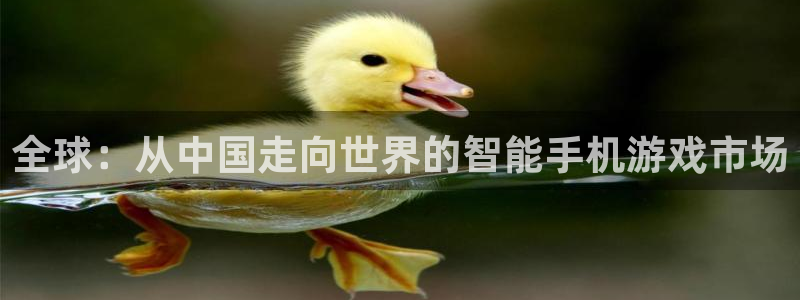 陕西亿万28子文化公司加我qq