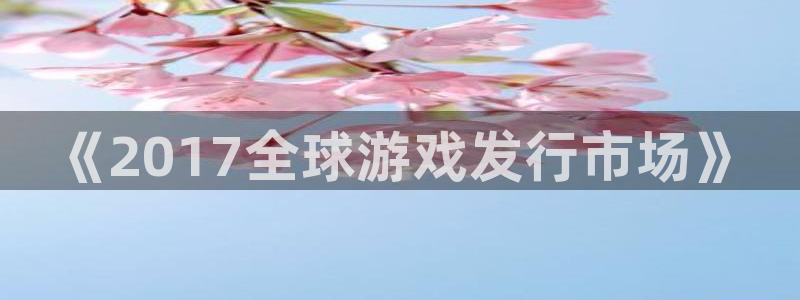 亿万28官网代理注册：《2017全球游戏发行市场》