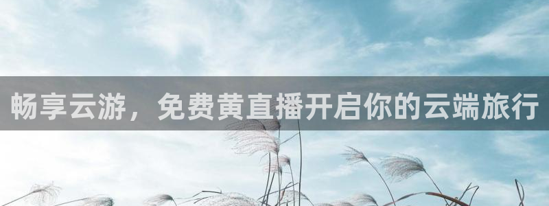 24直播网体育直播：畅享云游，免费黄直播开启你的云端旅行