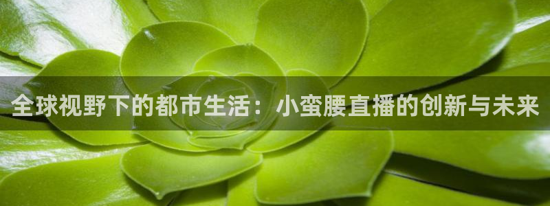 24直播足球免费观看入口：全球视野下的都市生活：小蛮腰直播的创新与未来