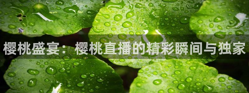 24直播网体育新年放送7zg.立即打开.org：樱桃盛宴：樱桃直播的精彩瞬间与独家