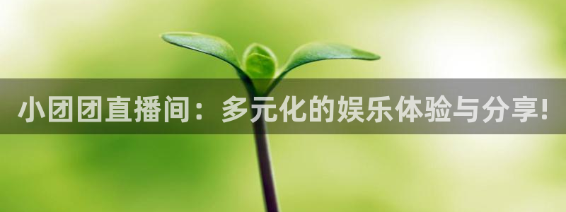 24直播app：小团团直播间：多元化的娱乐体验与分享!