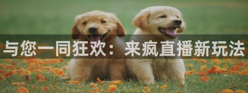 24直播网：与您一同狂欢：来疯直播新玩法