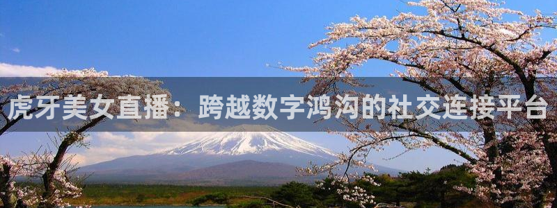 24直播吧nba在线直播：虎牙美女直播：跨越数字鸿沟的社交连接平台