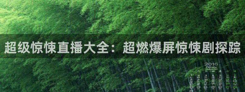 24足球直播网24直播吧：超级惊悚直播大全：超燃爆屏惊悚剧探踪