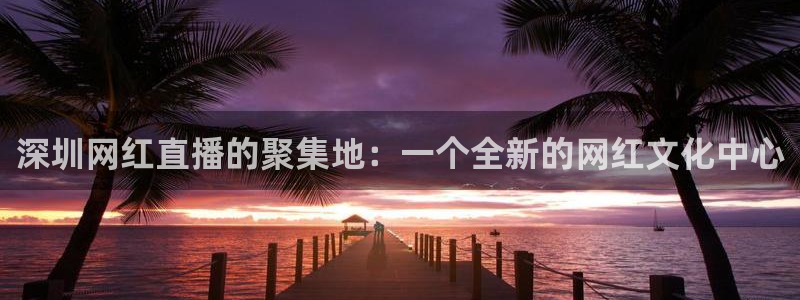 24直播网下载：深圳网红直播的聚集地：一个全新的网红文化中心