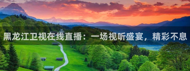 24直播网体育在线观看：黑龙江卫视在线直播：一场视听盛宴，精彩不息